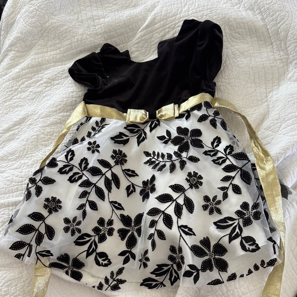 Jona Michelle Black and White Floral Velvet Dress with Gold Sash